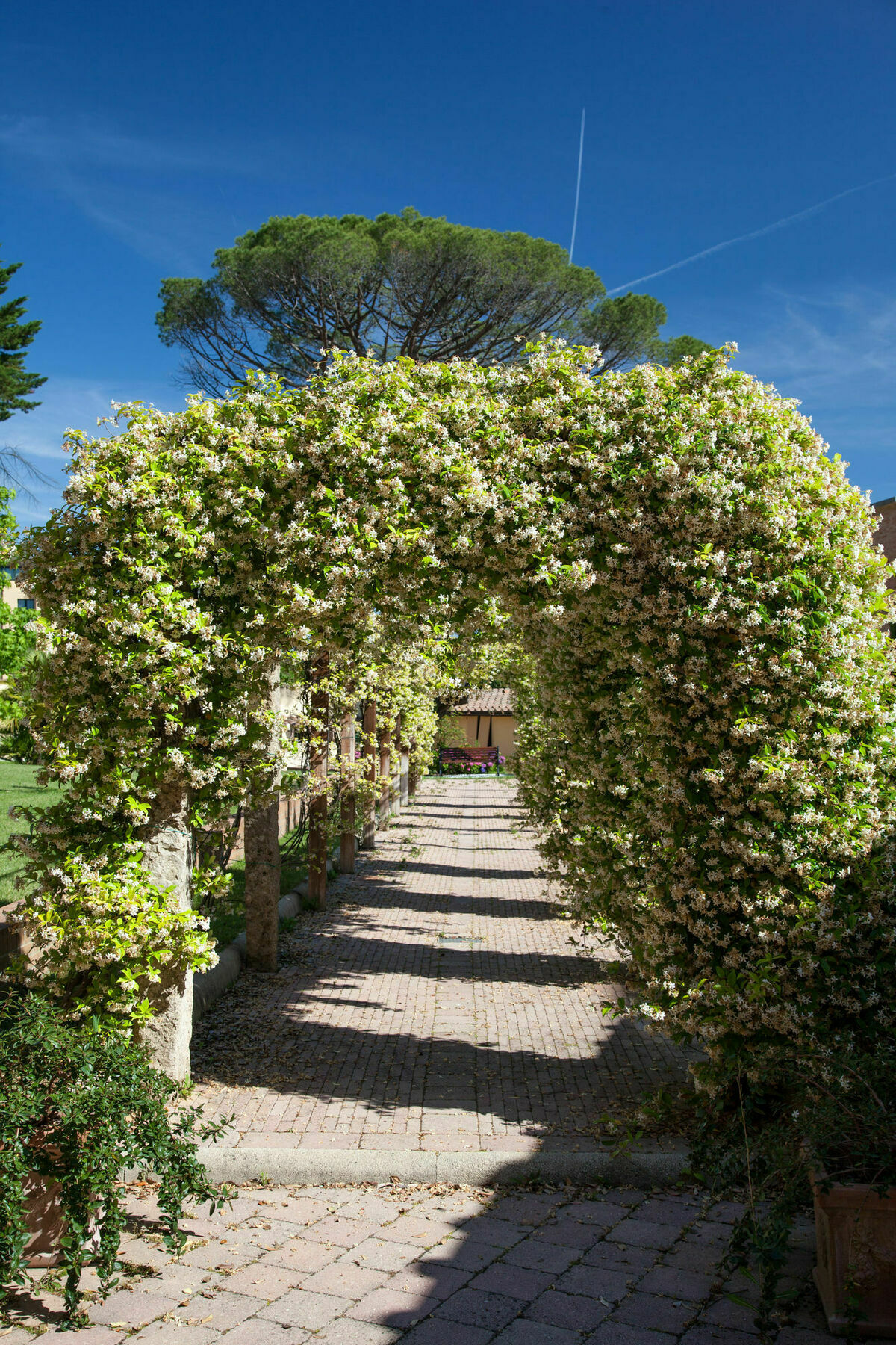 Villa Borri Casciana Terme Buitenkant foto